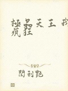 极品天王 我本疯狂