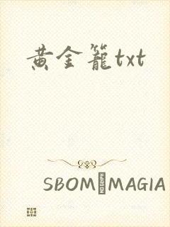 黄金笼txt封面