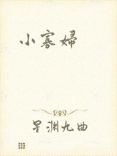 小寡妇封面
