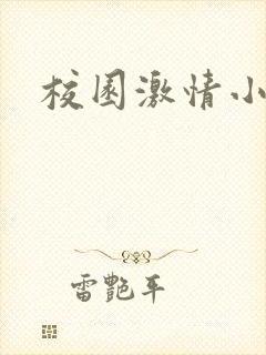 校园激情小说封面