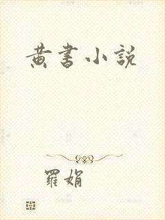 黄书小说