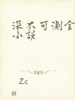 深不可测金银花小说