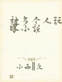 被多个人玩屁股眼小说封面