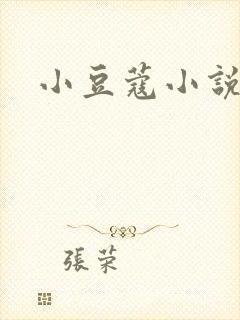 小豆蔻小说封面