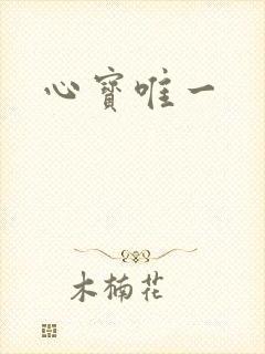 心宝唯一