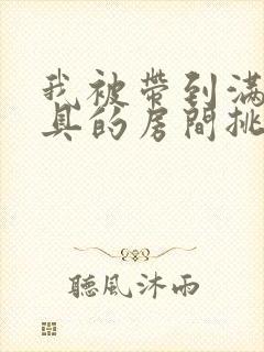 我被带到满是玩具的房间挑调游戏封面
