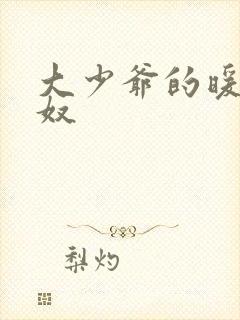 大少爷的暖床小奴