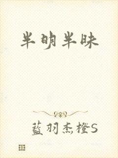 半明半昧
