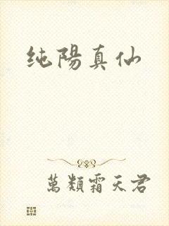 纯阳真仙