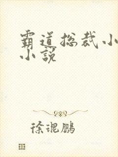 霸道总裁小娇妻小说
