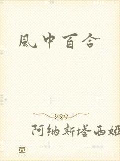 风中百合封面
