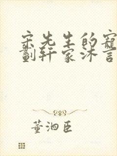 宋先生的宠妻计划轩家沐言封面