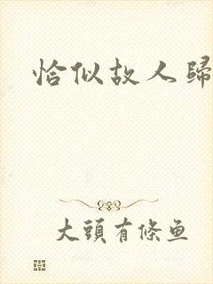 恰似故人归小说