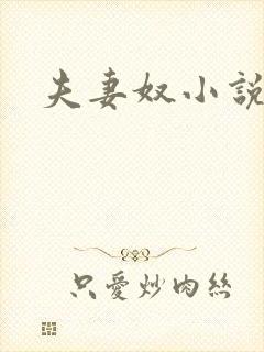 夫妻奴小说