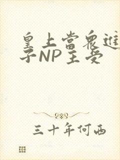 皇上当众进入太子NP主受