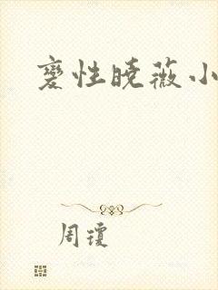 变性晓薇小说封面