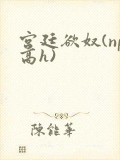 宫廷欲奴(np高h)