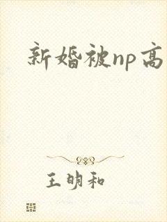 新婚被np高h