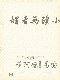 媚者无疆小说