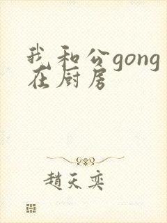 我和公gong在厨房