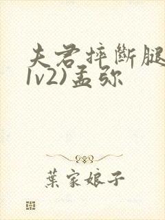 夫君摔断腿后(1v2)孟弥