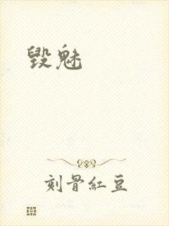 毁魅