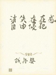 消失存在感消失自由侵犯