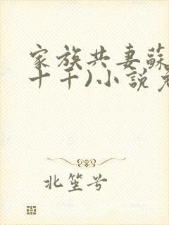 家族共妻苏苏(十千)小说免费