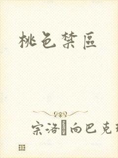 桃色禁区封面