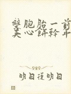 双胞胎一前一后夹心饼干年下