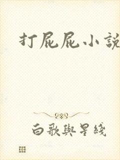 打屁屁小说封面