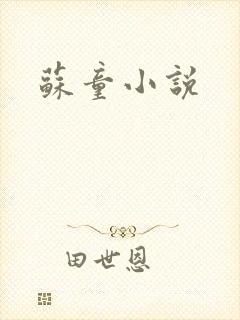 苏童小说