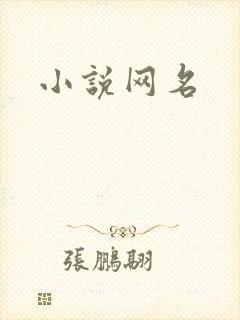 小说网名