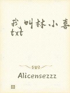 我叫林小喜小说txt