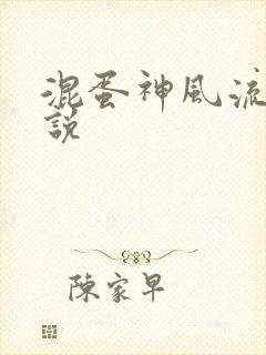 混蛋神风流史小说