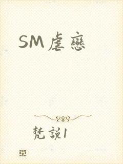 SM虐恋封面