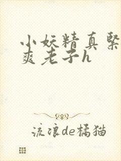 小妖精真紧h嘶爽老子h