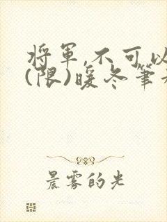 将军,不可以!(限)暖冬笔趣阁免费阅读