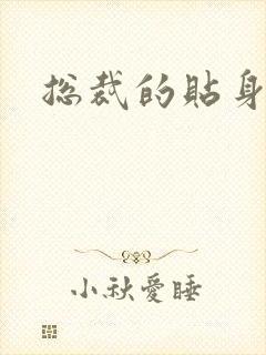 总裁的贴身女佣封面