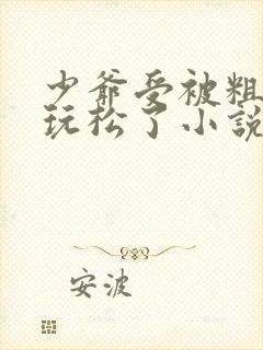 少爷受被粗汉H玩松了小说