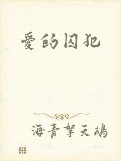 爱的囚犯