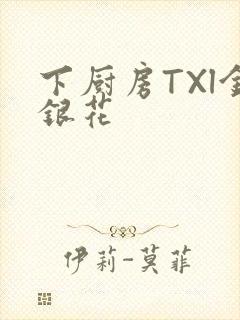 下厨房TXl金银花