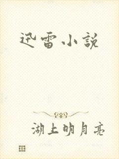 迅雷小说