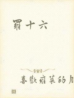 罗十六