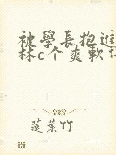 被学长抱进小树林c个爽软件