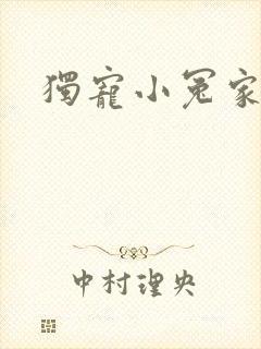 独宠小冤家