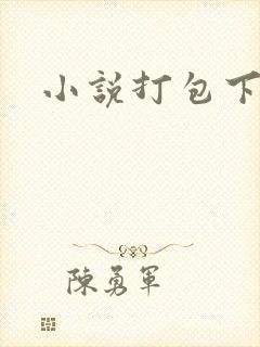 小说打包下载