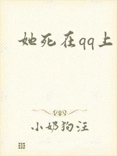 她死在qq上封面