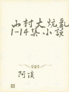 山村大炕乱肉续1-14集小说封面