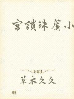 宫锁珠帘小说